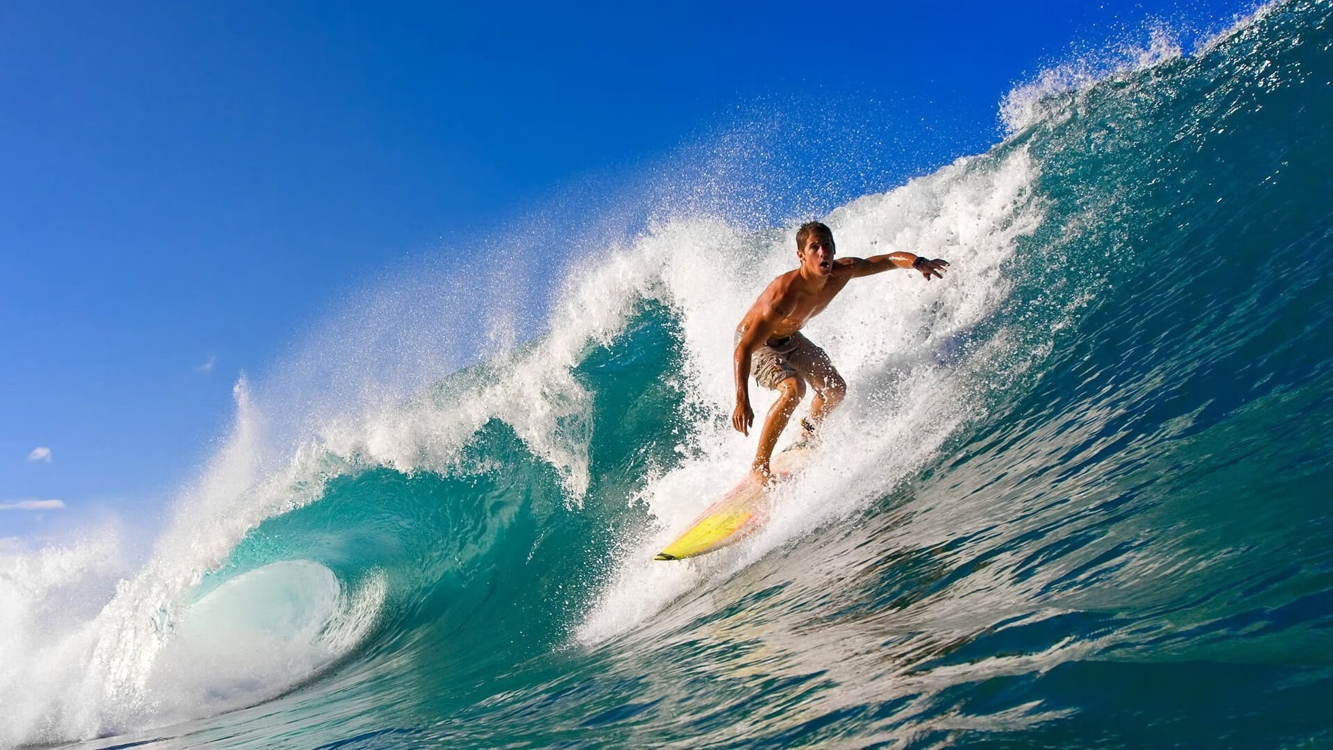 “新加坡泳池角逐！2025世界游泳锦标赛来势汹汹”